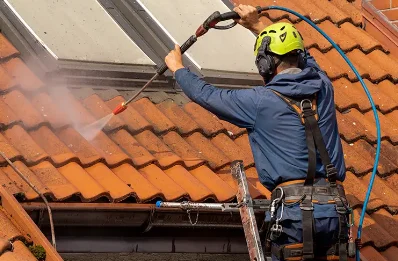 Démoussage et hydrofuge de toiture à Delle